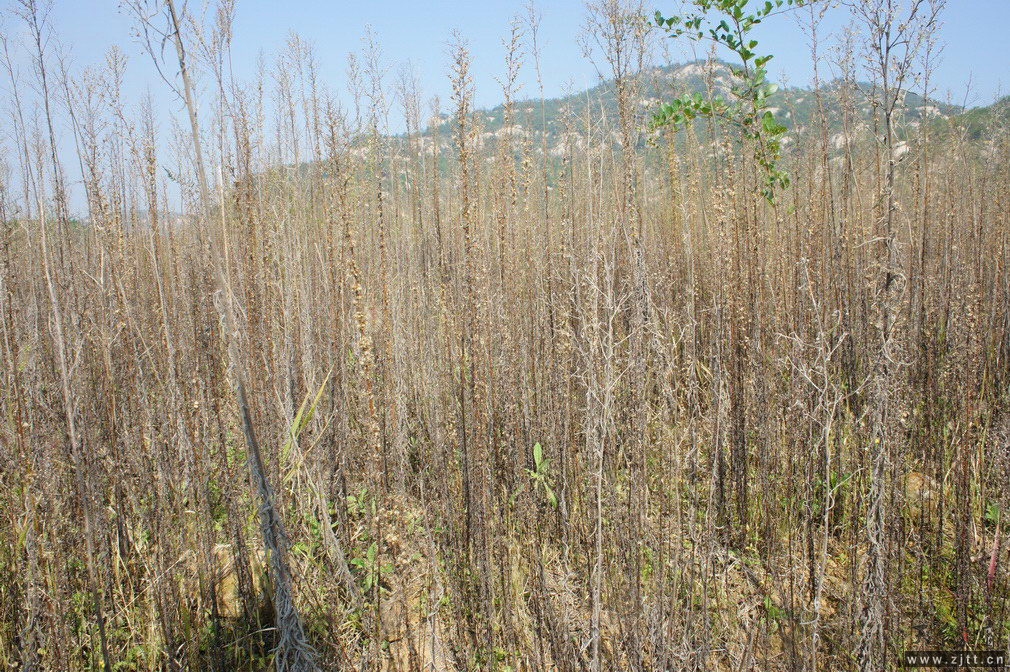DSC01723_调整大小.jpg
