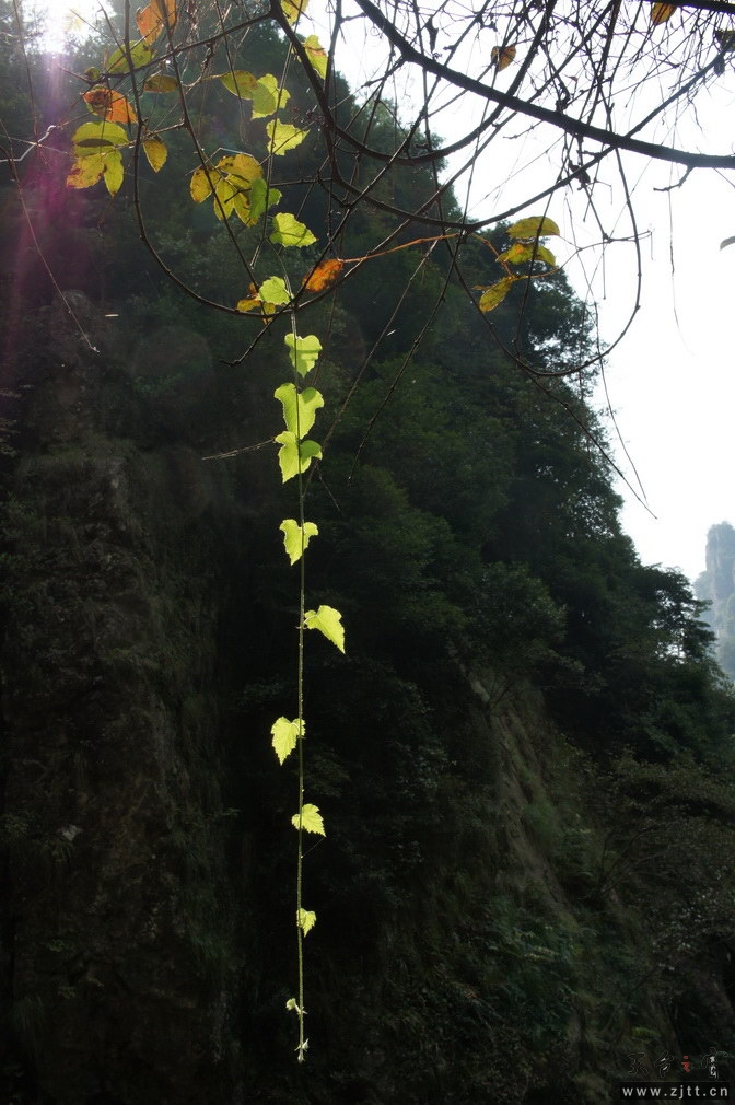 DSC01921_调整大小.jpg