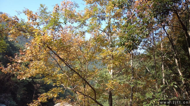nEO_IMG_DSC02021.jpg