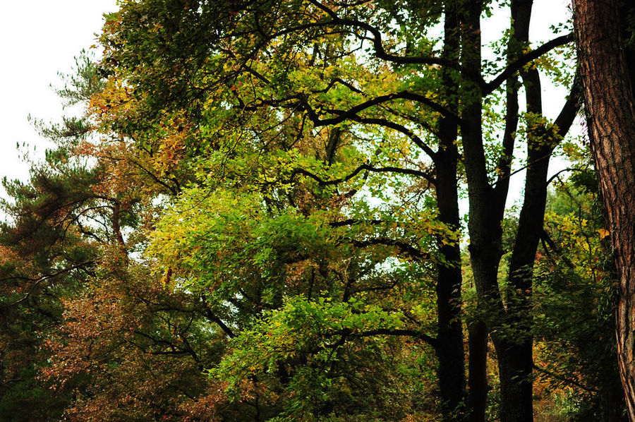 DSC_0054.jpg