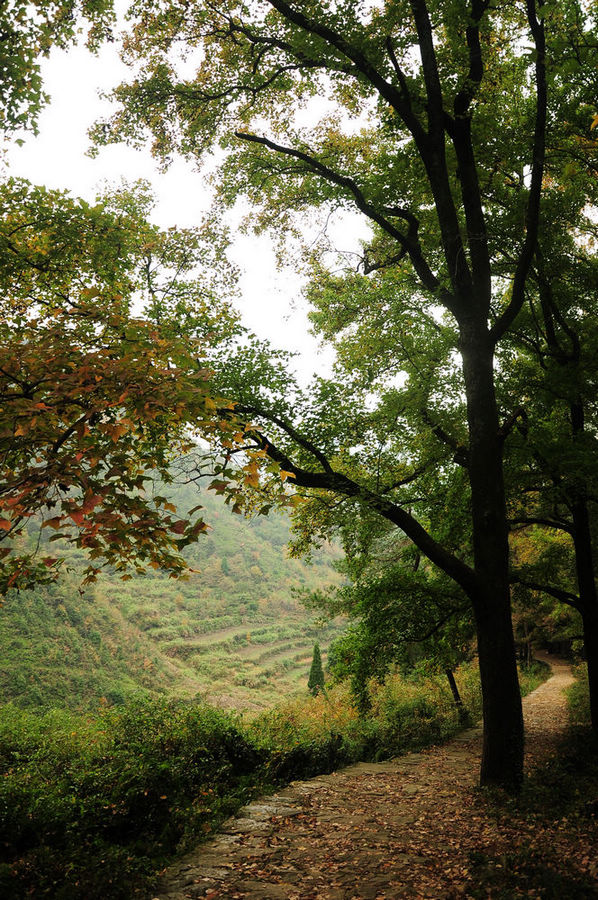 DSC_0061.jpg