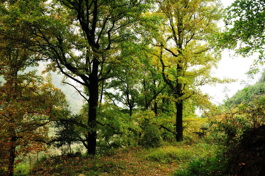 DSC_0064.jpg