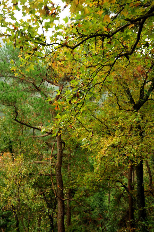 DSC_0075.jpg
