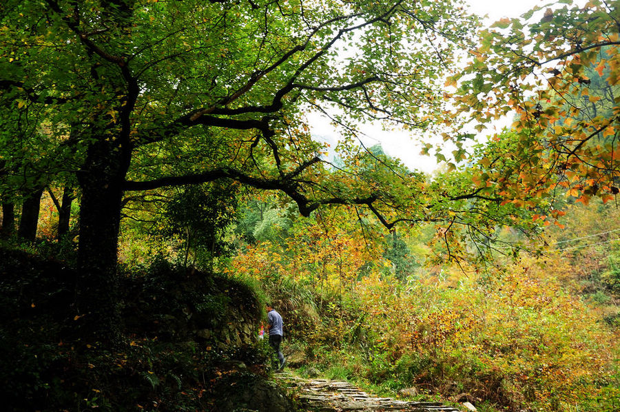DSC_0094.jpg