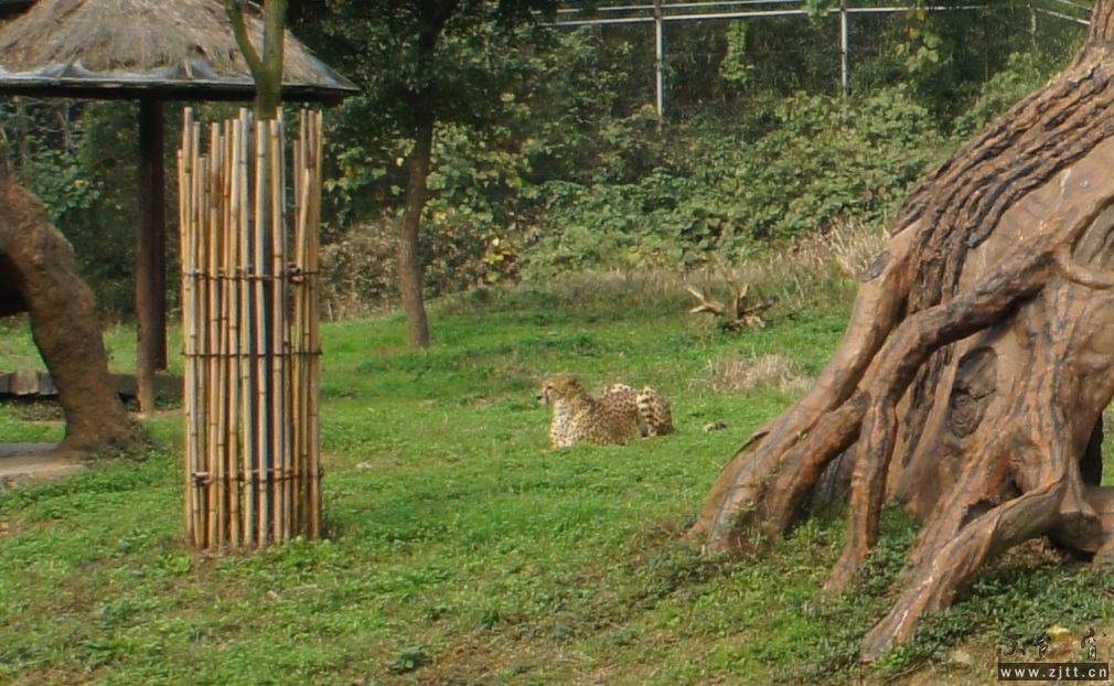 DSC02345_调整大小.JPG