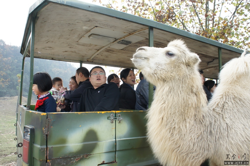DSC02357_调整大小.JPG
