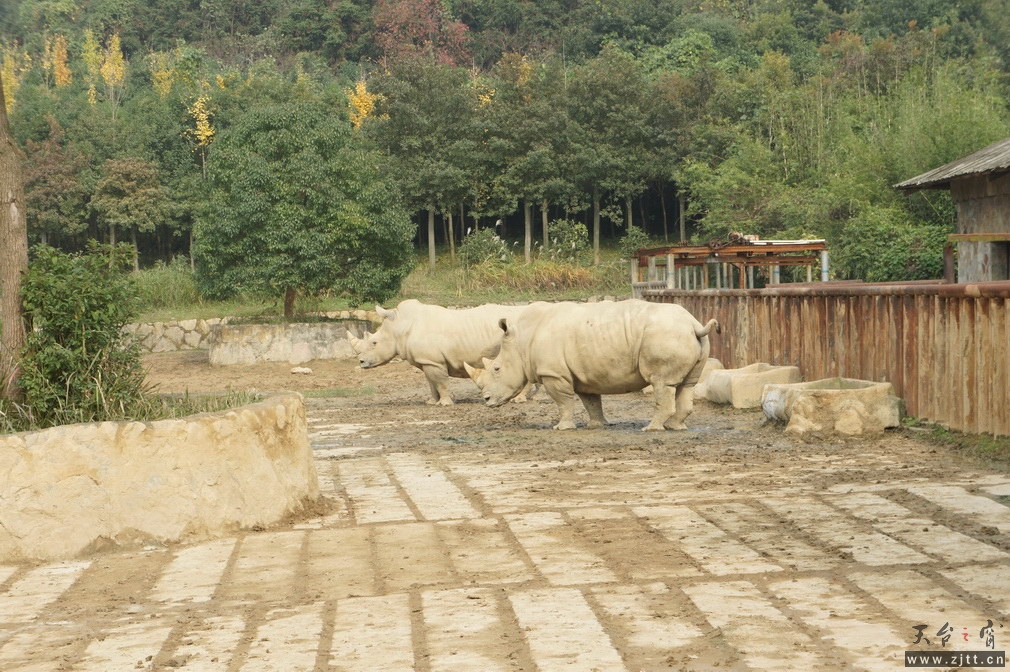 DSC02392_调整大小.jpg