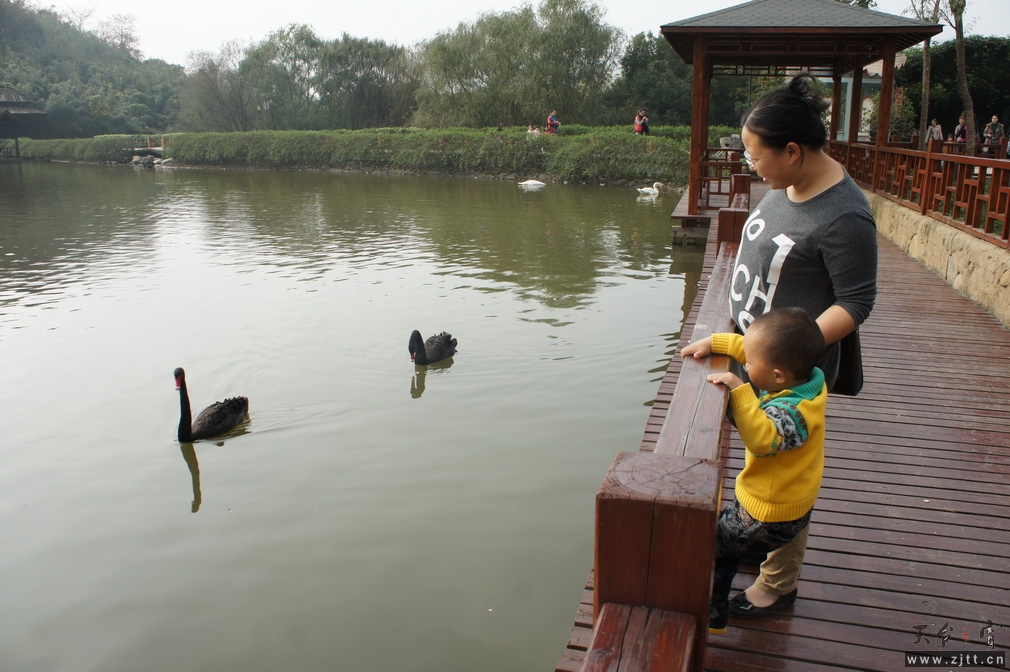DSC02443_调整大小.JPG