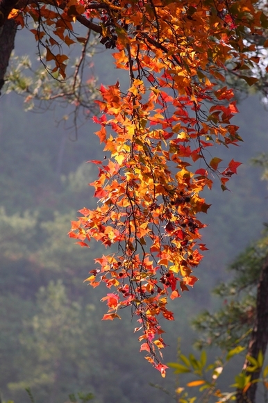IMG_8766.jpg