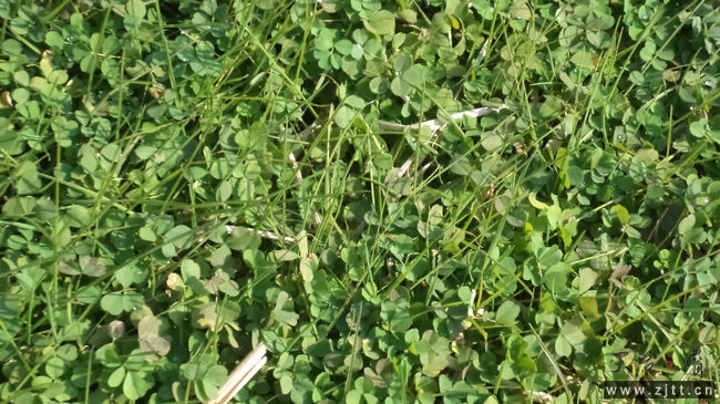 nEO_IMG_DSC02240.jpg