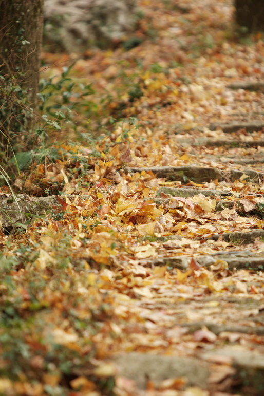 IMG_7806_调整大小.jpg
