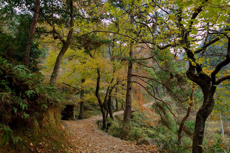IMG_7723_调整大小.jpg