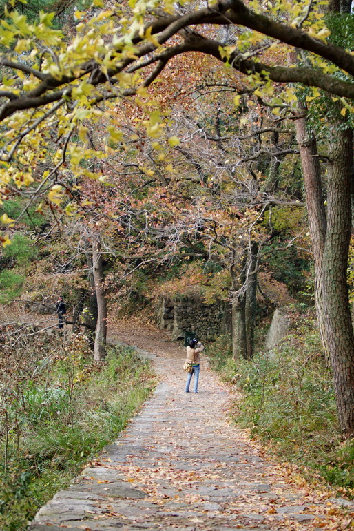 IMG_7822_调整大小.jpg