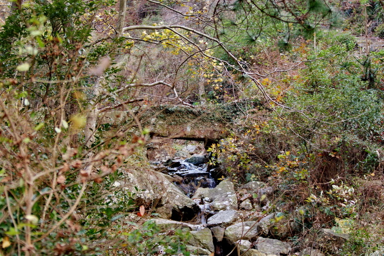 IMG_7824_调整大小.jpg