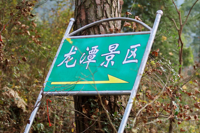 IMG_7830_调整大小.jpg
