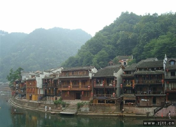 凤凰5.jpg