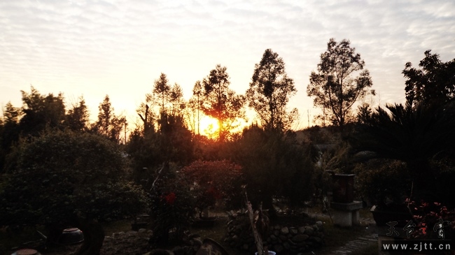 nEO_IMG_DSC00133.jpg