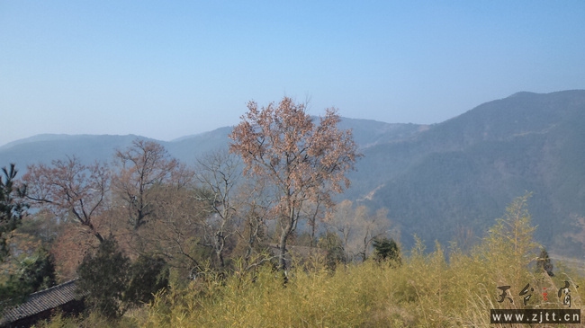nEO_IMG_DSC00179.jpg