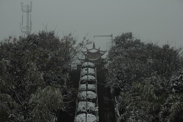 调整大小 DPP_0007.JPG