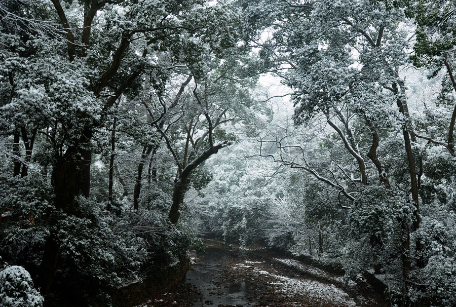 DSC_0002.jpg
