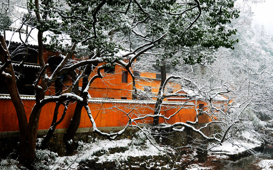 DSC_0023.jpg