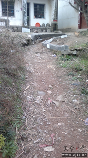 原来的三轮车路现状