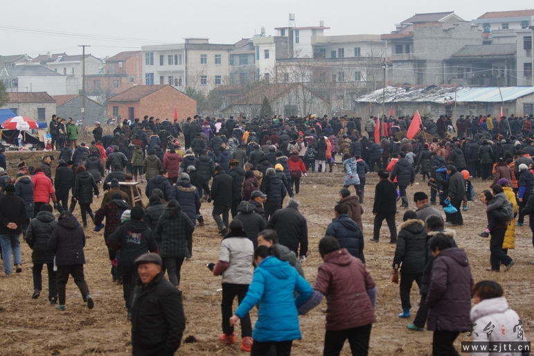 IMG_0223_调整大小.jpg