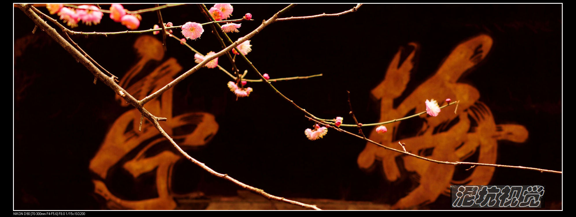 DSC_0021.jpg