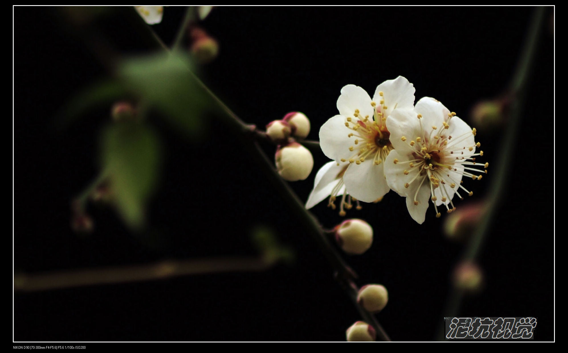 DSC_0018.jpg