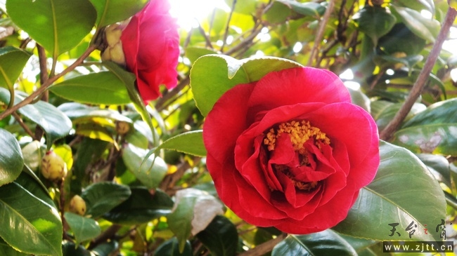 nEO_IMG_DSC00614.jpg