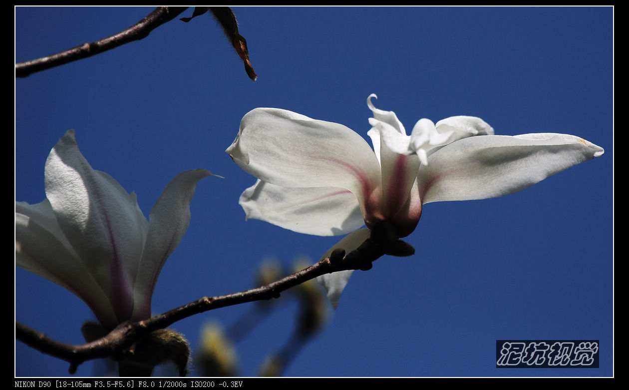 DSC_0036.jpg