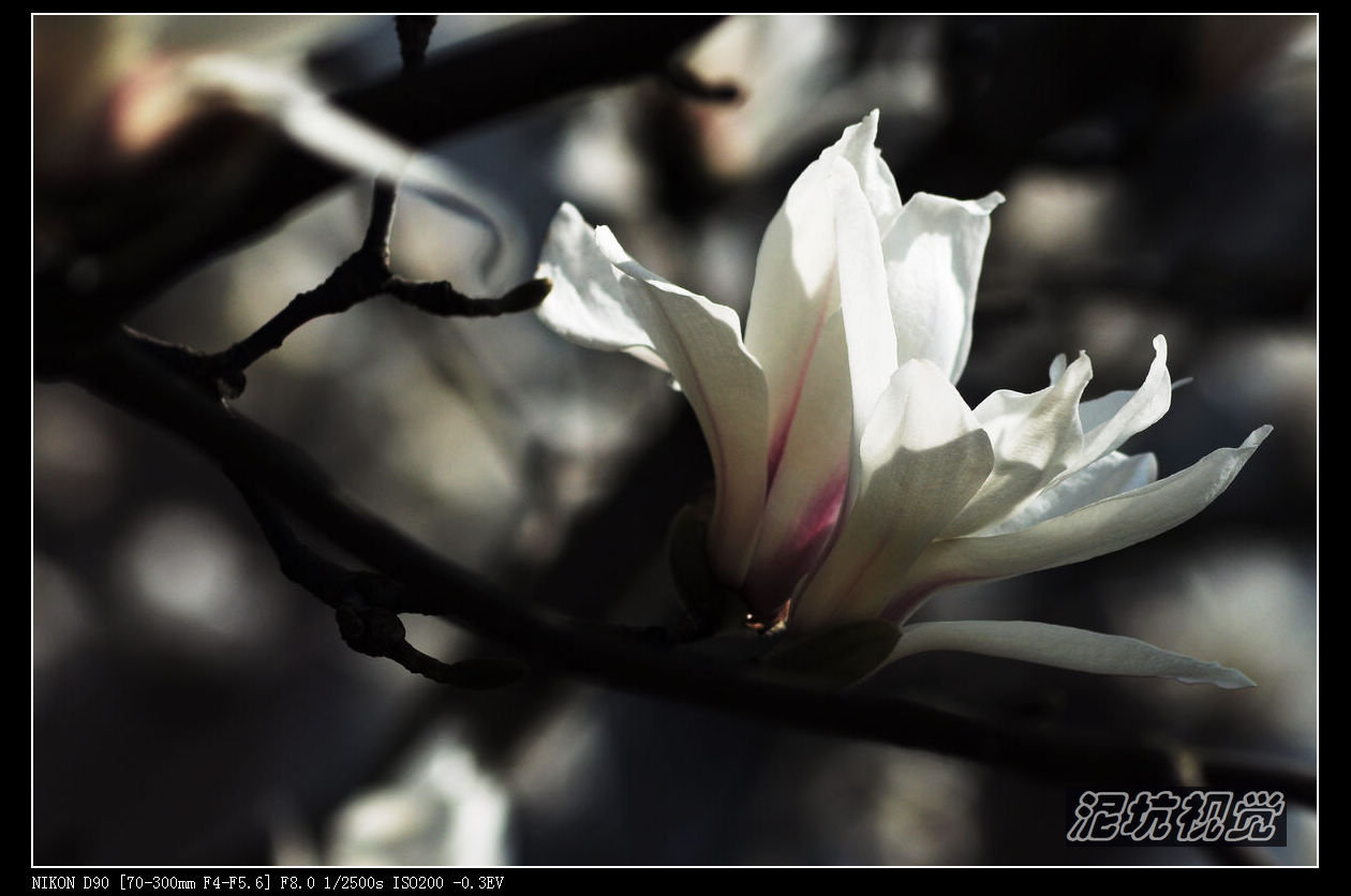 DSC_0046.jpg