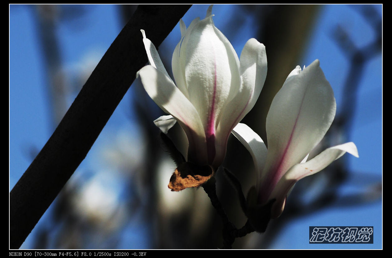 DSC_0047.jpg