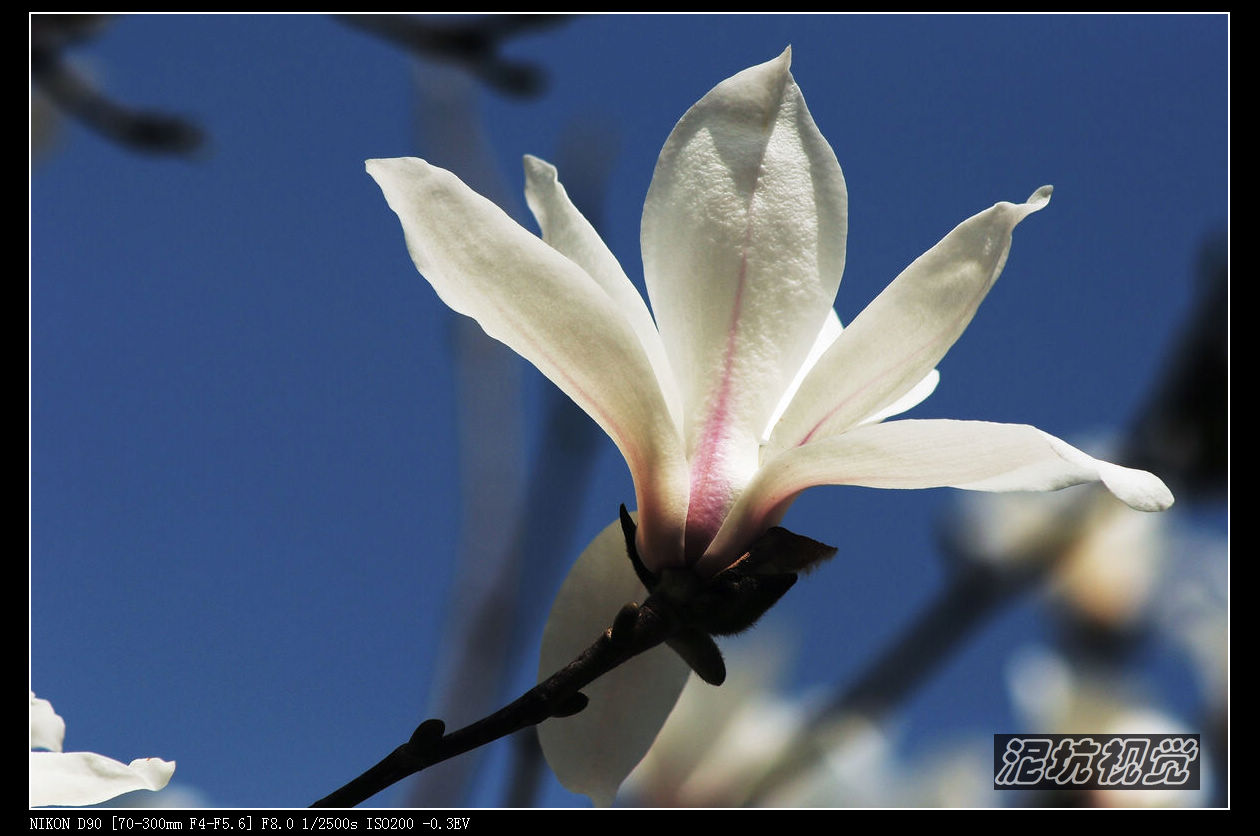 DSC_0050.jpg