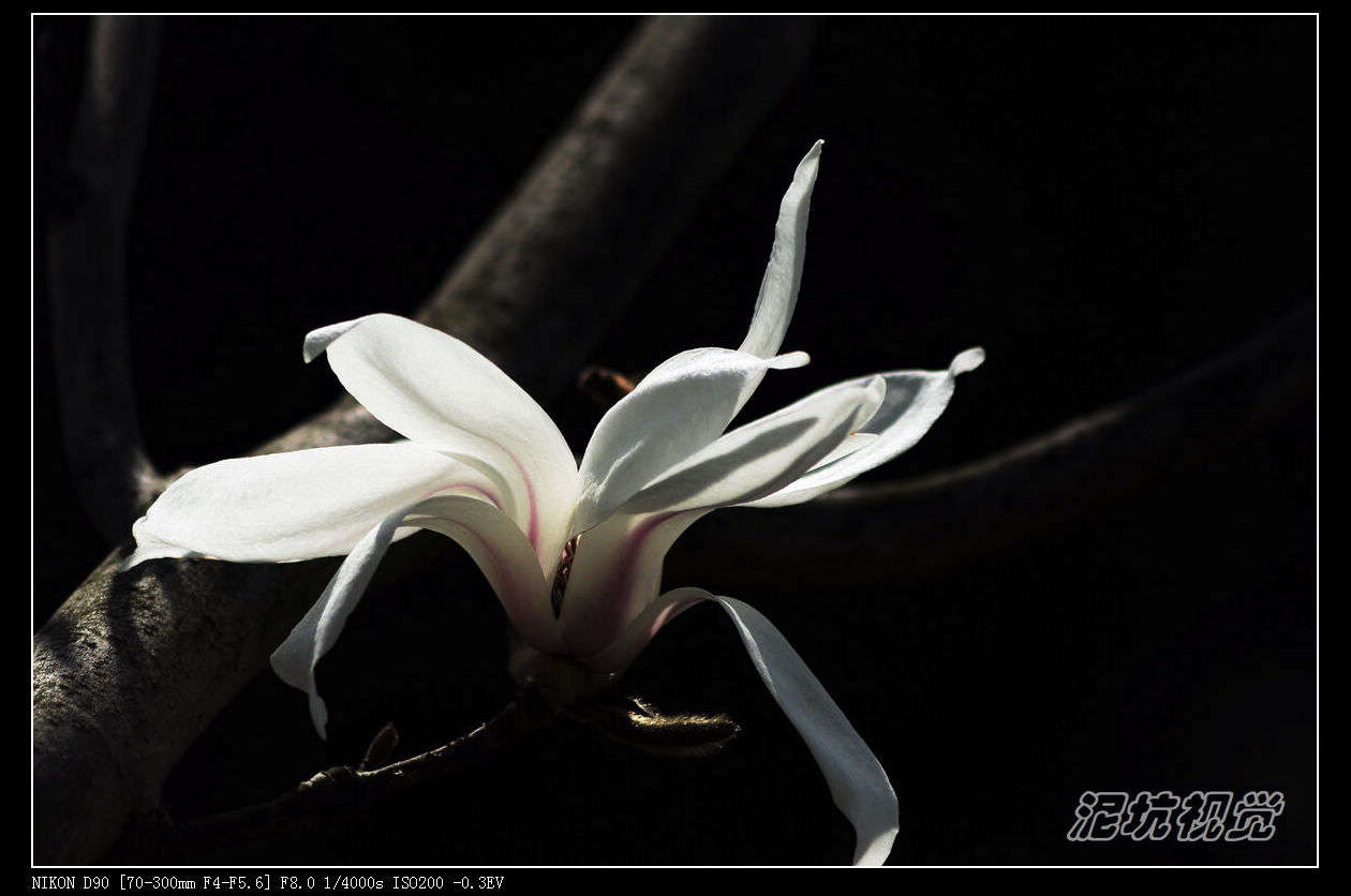 DSC_0059.jpg