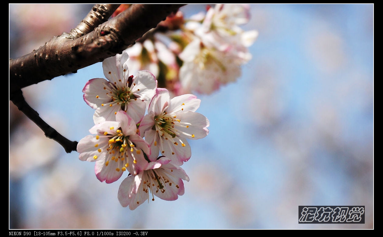 DSC_0023.jpg