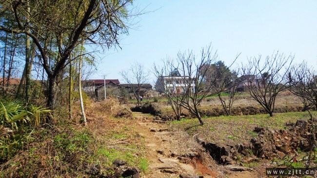 nEO_IMG_DSC00740.jpg
