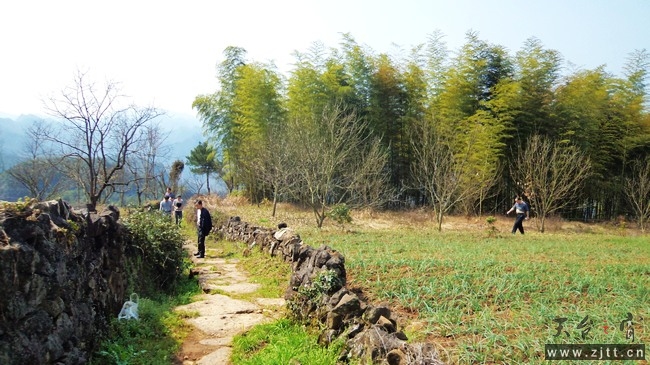nEO_IMG_DSC00743.jpg