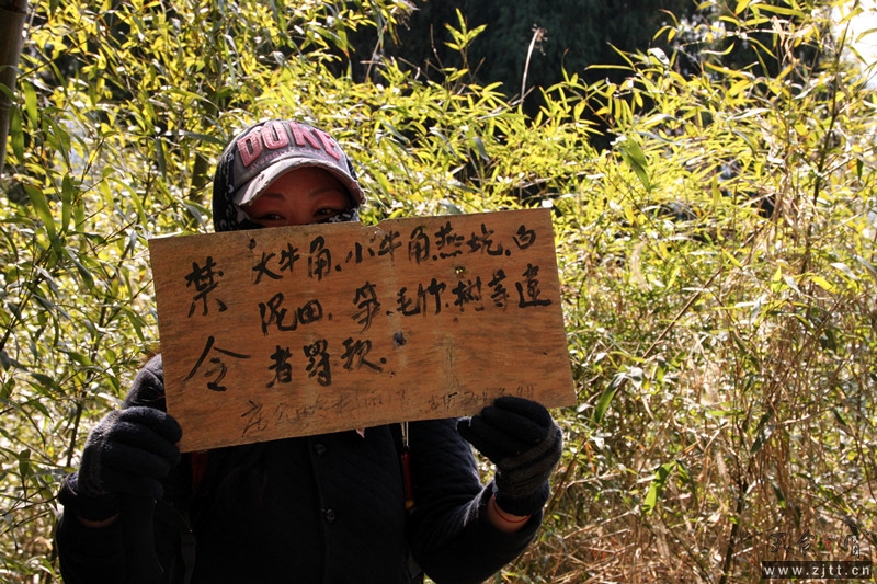 照片 205_副本.jpg
