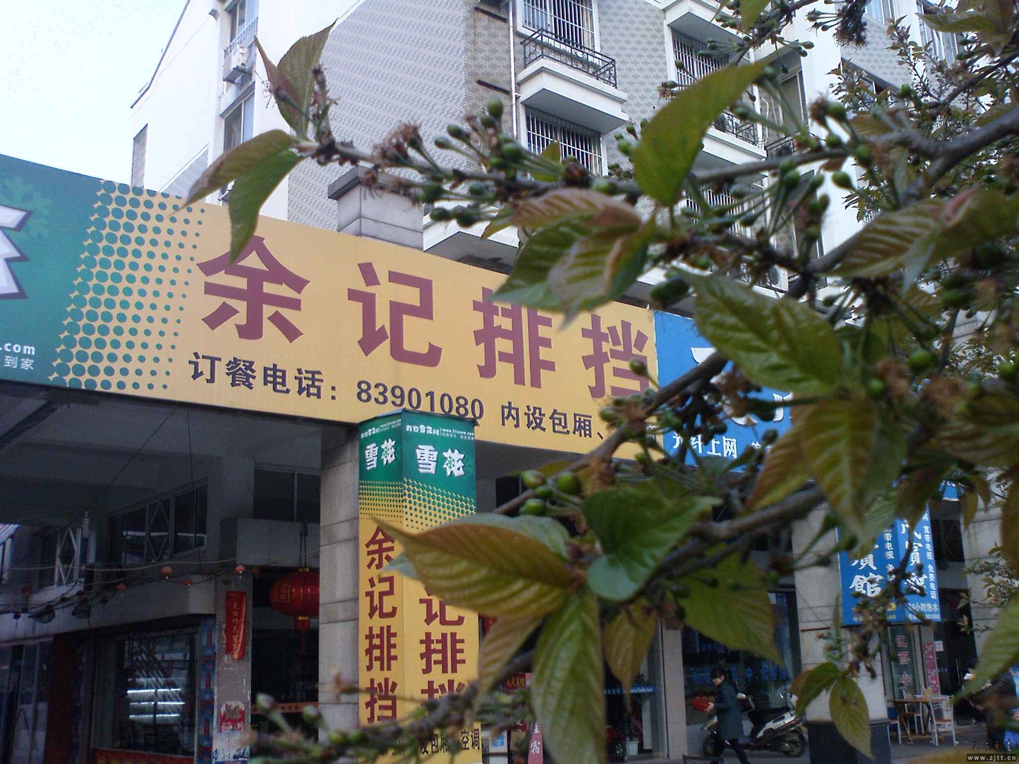 DSC00453.JPG
