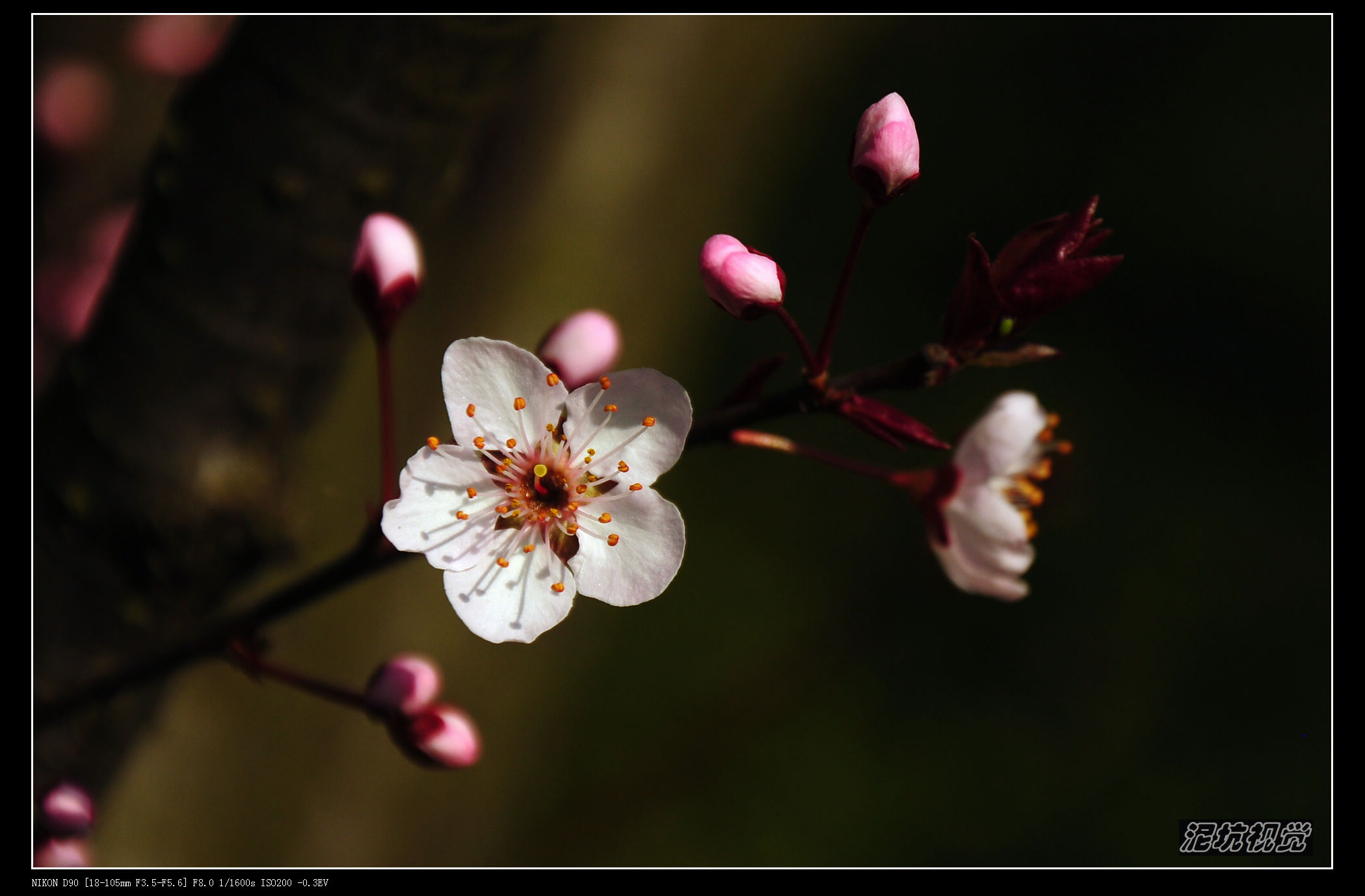 DSC_0002.jpg