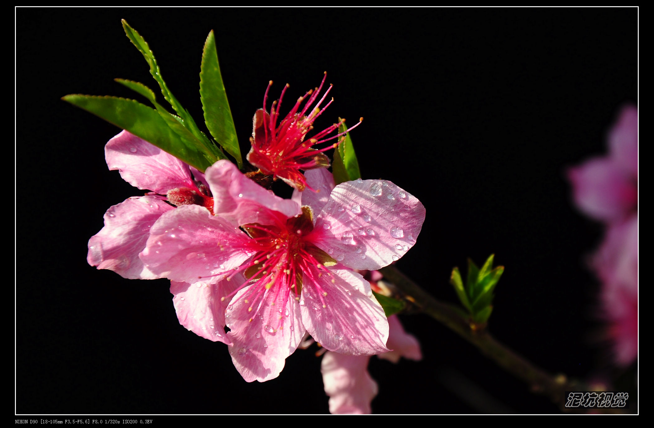 DSC_0022.jpg