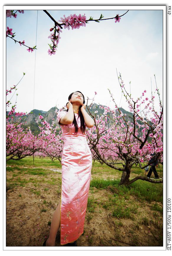 nEO_IMG_DSC07303.jpg
