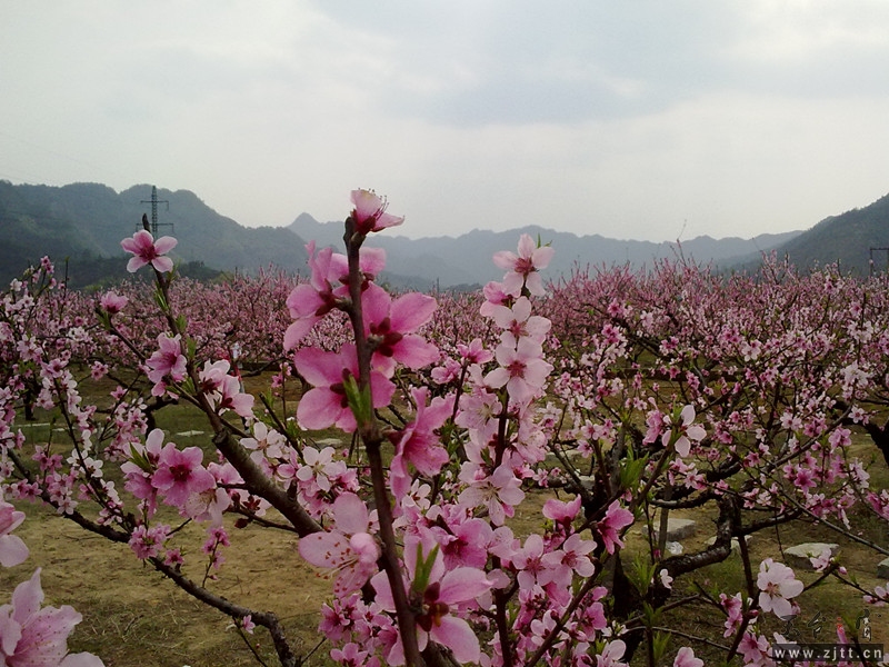 20120402070_副本.jpg