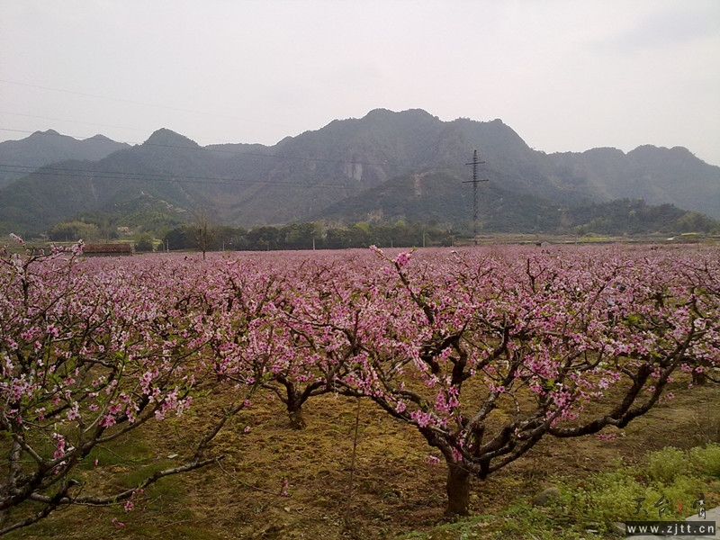20120402072_副本.jpg