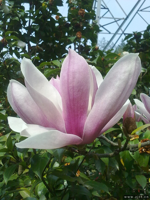 20120402052_副本.jpg