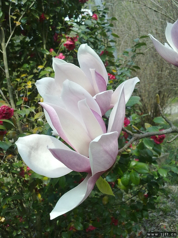 20120402053_副本.jpg