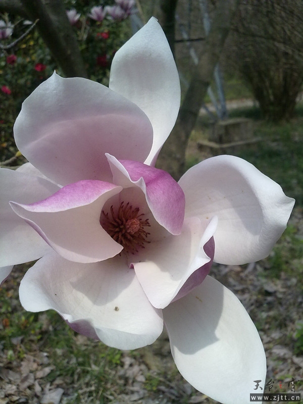 20120402055_副本.jpg