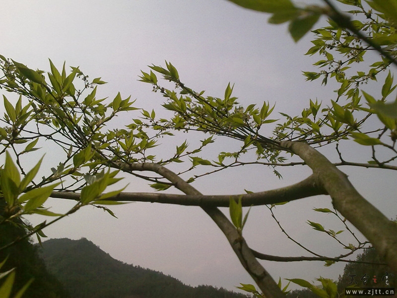 20120402062_副本.jpg