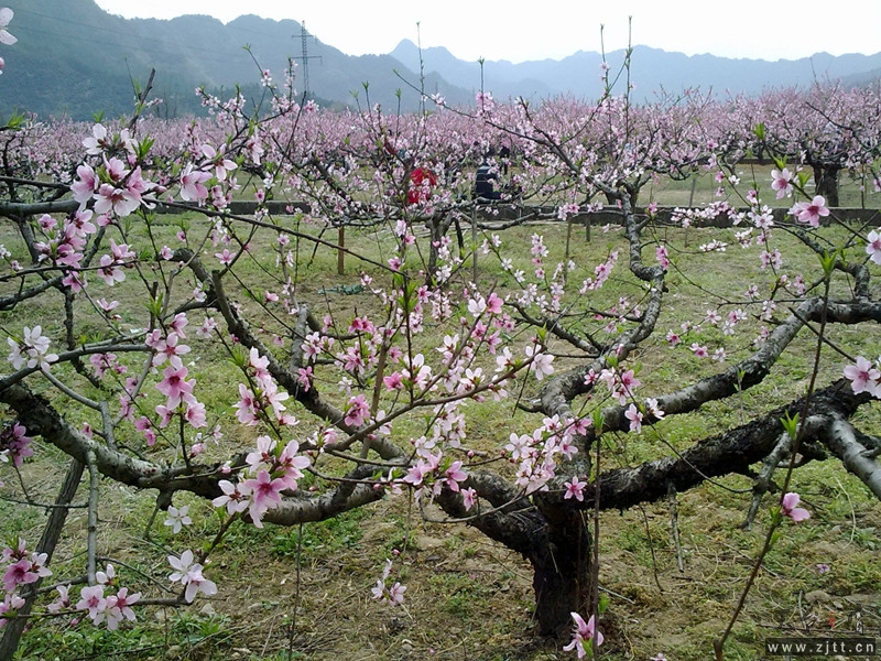 20120402066_副本.jpg